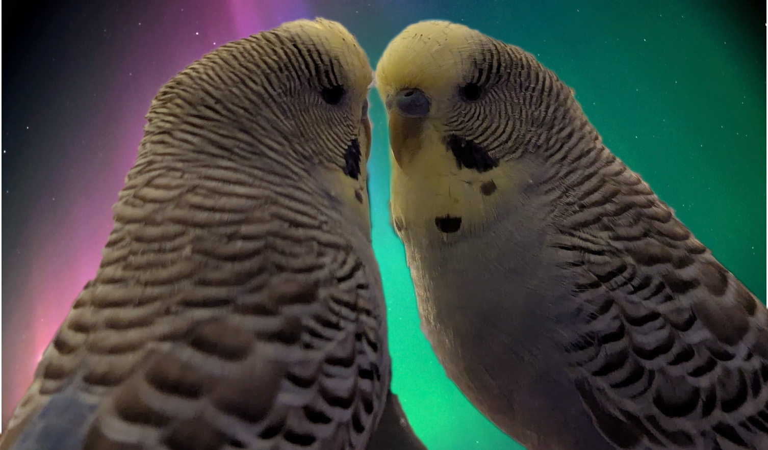 Image Created by MS CoPilot